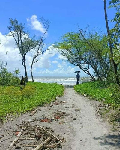 Henry Island