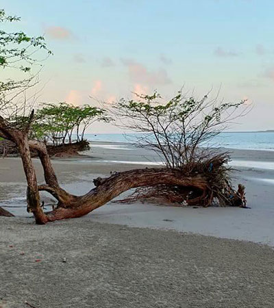 Aprajita Beach Resort